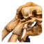 Lord of the Rings Mini Statue Skull of a Mumak 15 cm