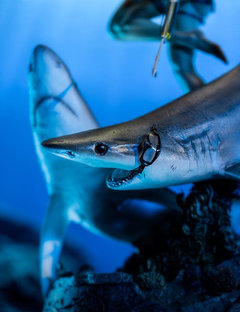 Tomb Raider Statue 1/4 Lara Croft-Quest for Avalon 74 cm