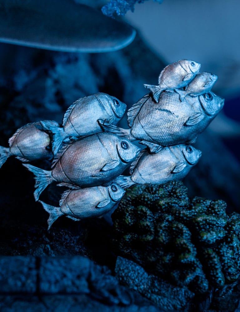 Tomb Raider Statue 1/4 Lara Croft-Quest for Avalon 74 cm