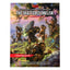 Dungeons &amp; Dragons RPG Adventure Phandelver and Below: The Shattered Obelisk english
