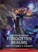 Dungeons & Dragons RPG Forgotten Realms: Abenteuer in Faerun Dungeon Master Expansion *German Version*