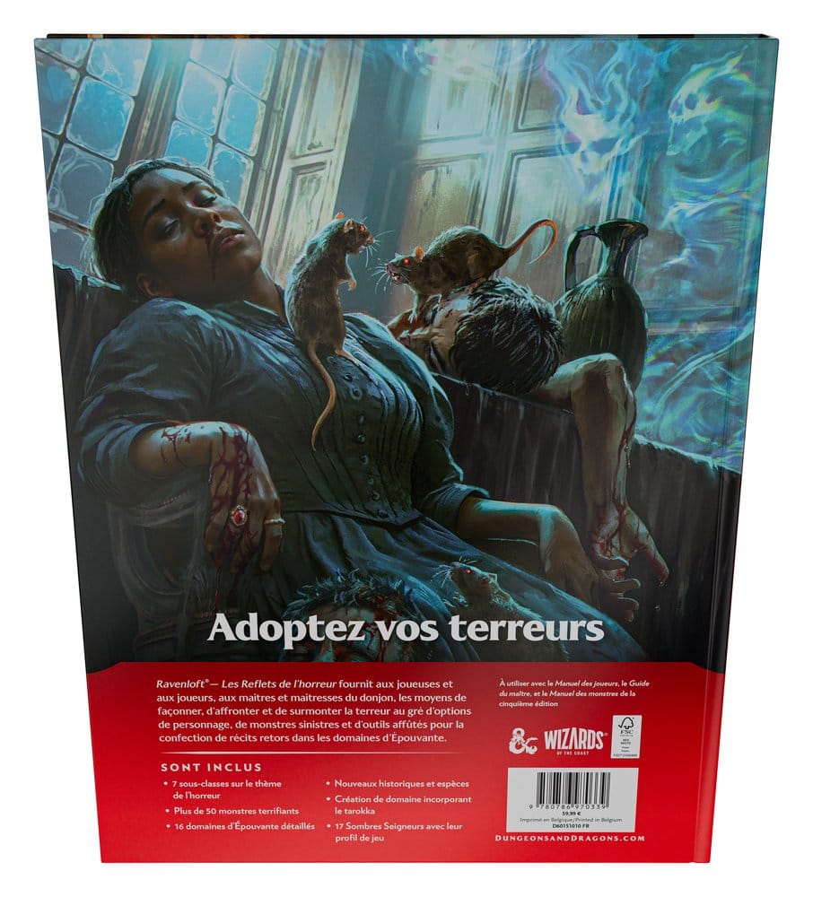 Dungeons & Dragons RPG Ravenloft: Les Reflets de l'Horreur Book *French Version*